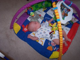 Wed Aug 17 13:47:51 2005

Andrew likes playing in his Baby Einstein learning center.