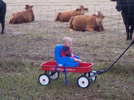 Sat Dec 31 13:48:31 2005

Mommy put me in my high-chair, strapped to my new wagon (it's still a little too big for me).  Grandaddy pulled me around the yard for a very long time!  I wanted to go longer, but ... he got tired.