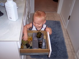 Mon Sep 11 09:42:08 2006

Andrew cannot believe that mommy let him into one of dad's drawers -- neither could dad when he put this photo on this site!