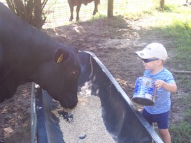 Sun 16 Sep 2007 08:51:41 AM

Andrew fed Granddaddy's cows