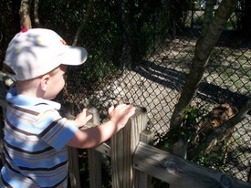 Sat 16 Feb 2008 01:32:21 PM

Andrew checks out a white-tailed deer.