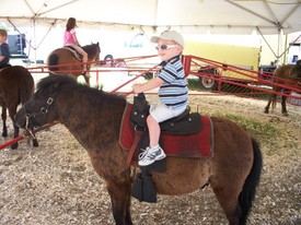 Thu 10 Apr 2008 01:45:00 PM

Ellen and Papa took Andrew to the Clay County Agricultural Fair.