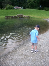 Tue 28 Jul 2009 11:23:37 AM

Andrew examines a butterfly at the trout pond.