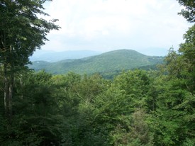 Tue 28 Jul 2009 04:10:17 PM

The view from the back deck of the house we rented for the week, at 158 Chestnut Way on Beech Mountain.