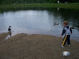 Fri 31 Jul 2009 05:18:13 PM

Friday as another total washout -- it rained all day, but we were able to feed the ducks for a while at Lake Coffee.  Andrew, dad, and granddaddy also took a short hike around the lake and also to a nearby creek and waterfall.