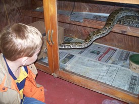 Sat 28 Nov 2009 11:27:45 AM

This python was very interested in Andrew.