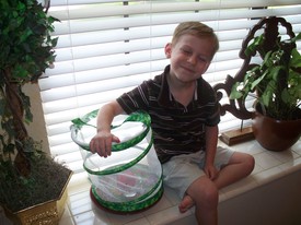 Wed 18 Aug 2010 12:24:52 PM

Andrew pictured here with the butterflies in the kit that Nana bought for him. They started out as caterpillars that came in the mail.