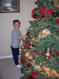 Sun 28 Nov 2010 03:51:22 PM

Andrew helped decorate the Christmas tree.