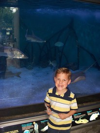 Wed 22 Feb 2012 10:19:22 AM

Andrew was showing off his snaggle-teeth in this photo (and in front of the shark tank). His top-two front teeth were pushing their way in. We finally pulled those teeth on Saturday, March 10th.