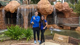 Tue 20 Dec 2022 11:15:36 AM