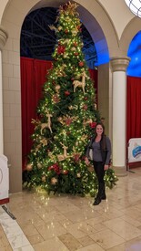 Tue 20 Dec 2022 07:05:53 PM