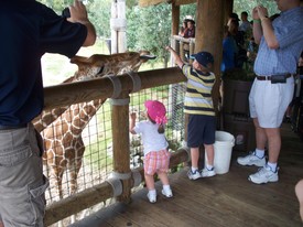 Sat 19 Nov 2011 01:54:37 PM

We spent the afternoon at the Jacksonville Zoo.