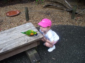 Sat 19 Nov 2011 03:52:59 PM

Gracie gets personal with a bird.