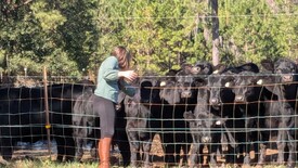 Sun 01 Dec 2024 12:29:21 PM