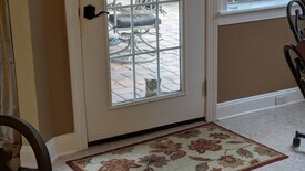 Thu 13 Feb 2025 03:45:29 PM