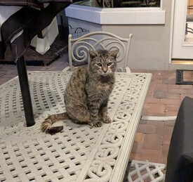 Sun 23 Feb 2025 06:40:24 PM