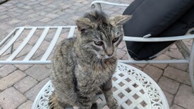 Wed 16 Apr 2025 07:45:35 PM