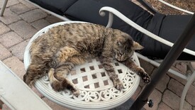 Tue 06 May 2025 05:51:39 PM