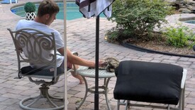 Tue 06 May 2025 07:50:59 PM