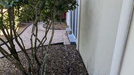 Sun 15 Jun 2025 09:48:19 AM