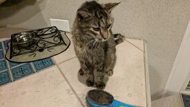 Tue 26 Aug 2025 09:36:16 PM