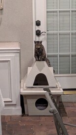 Fri 29 Aug 2025 08:45:26 PM