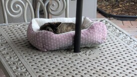 Fri 12 Sep 2025 10:49:17 AM