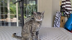 Thu 25 Sep 2025 11:19:19 AM