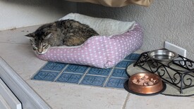 Wed 01 Oct 2025 06:41:38 PM