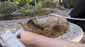 Wed 12 Nov 2025 03:10:26 PM