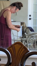 Tue 25 Nov 2025 10:43:06 AM