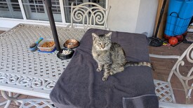 Tue 20 Jan 2026 10:40:44 AM