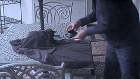 Thu 29 Jan 2026 07:05:27 AM