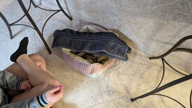 Sat 31 Jan 2026 03:24:25 PM