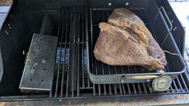 Mon 20 Oct 2025 09:06:09 AM