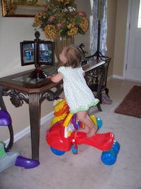 Sun 22 Aug 2010 09:40:12 AM

Gracie is a climber!